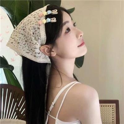 犯罪生涯